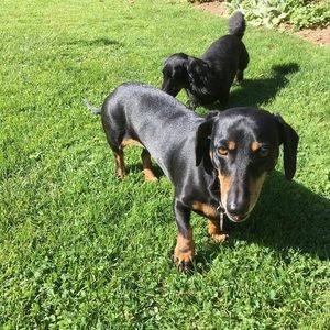 Meet your Posher, Colleen